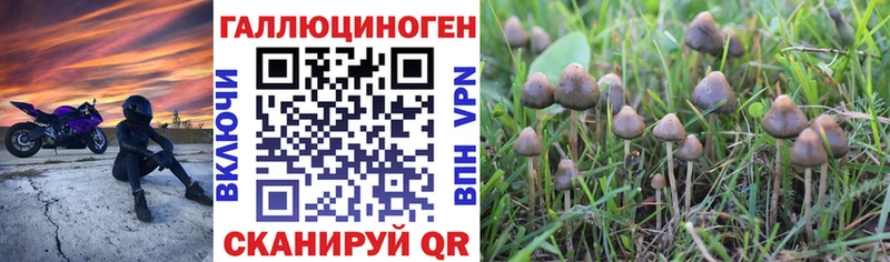 Псилоцибиновые грибы мухоморы  купить наркотик  Бежецк 